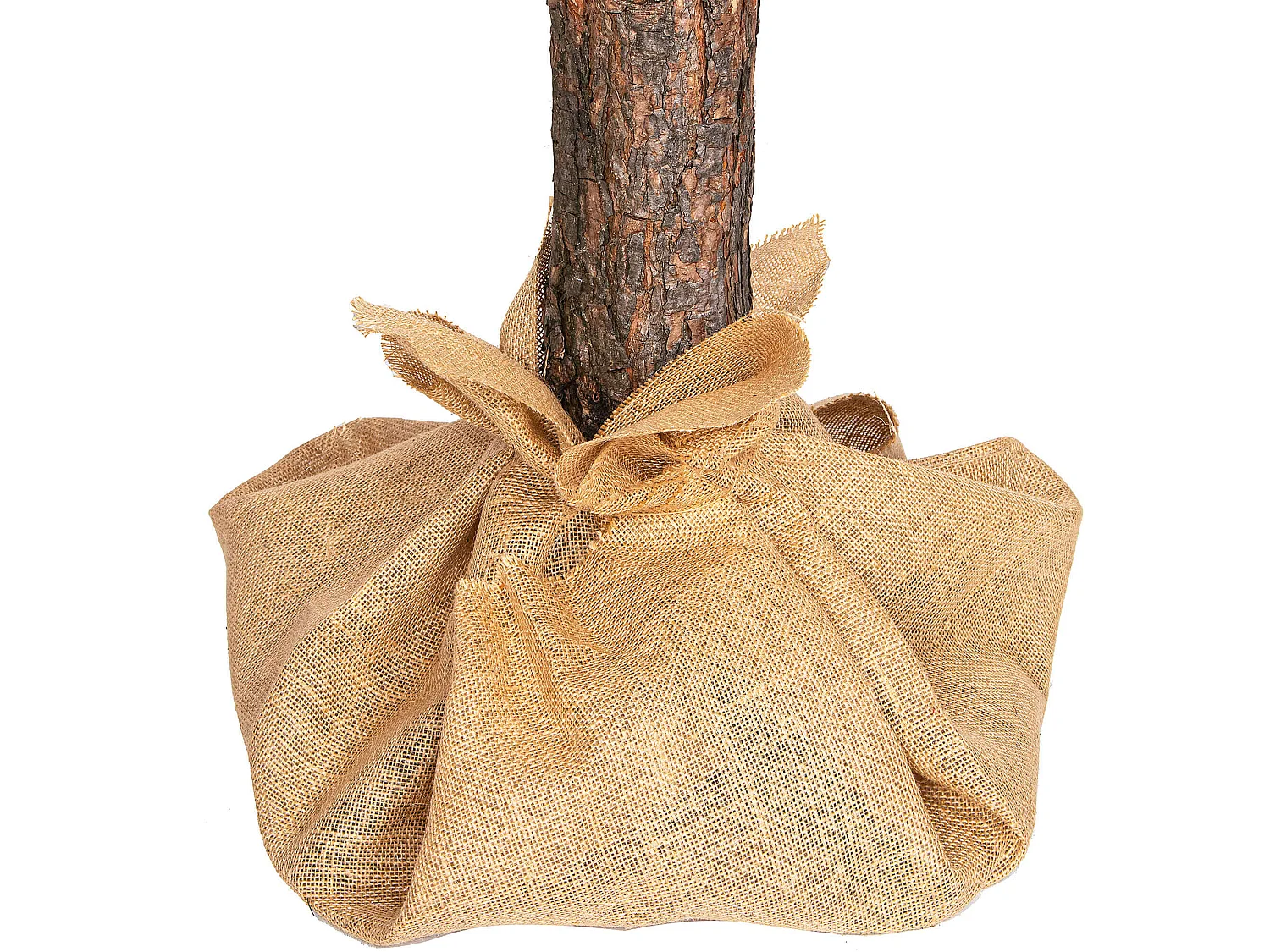 Árbol de Navidad artificial Springos® con tronco natural, pino nevado Diamond 220 cm