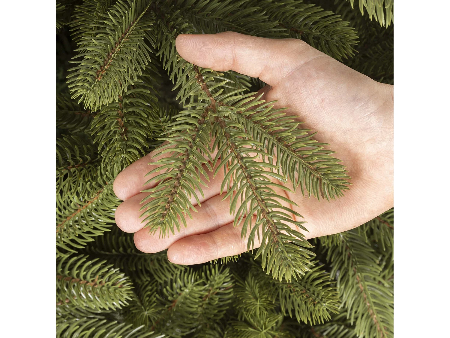 Árbol de Navidad artificial Springos® PREMIUM, 180 cm
