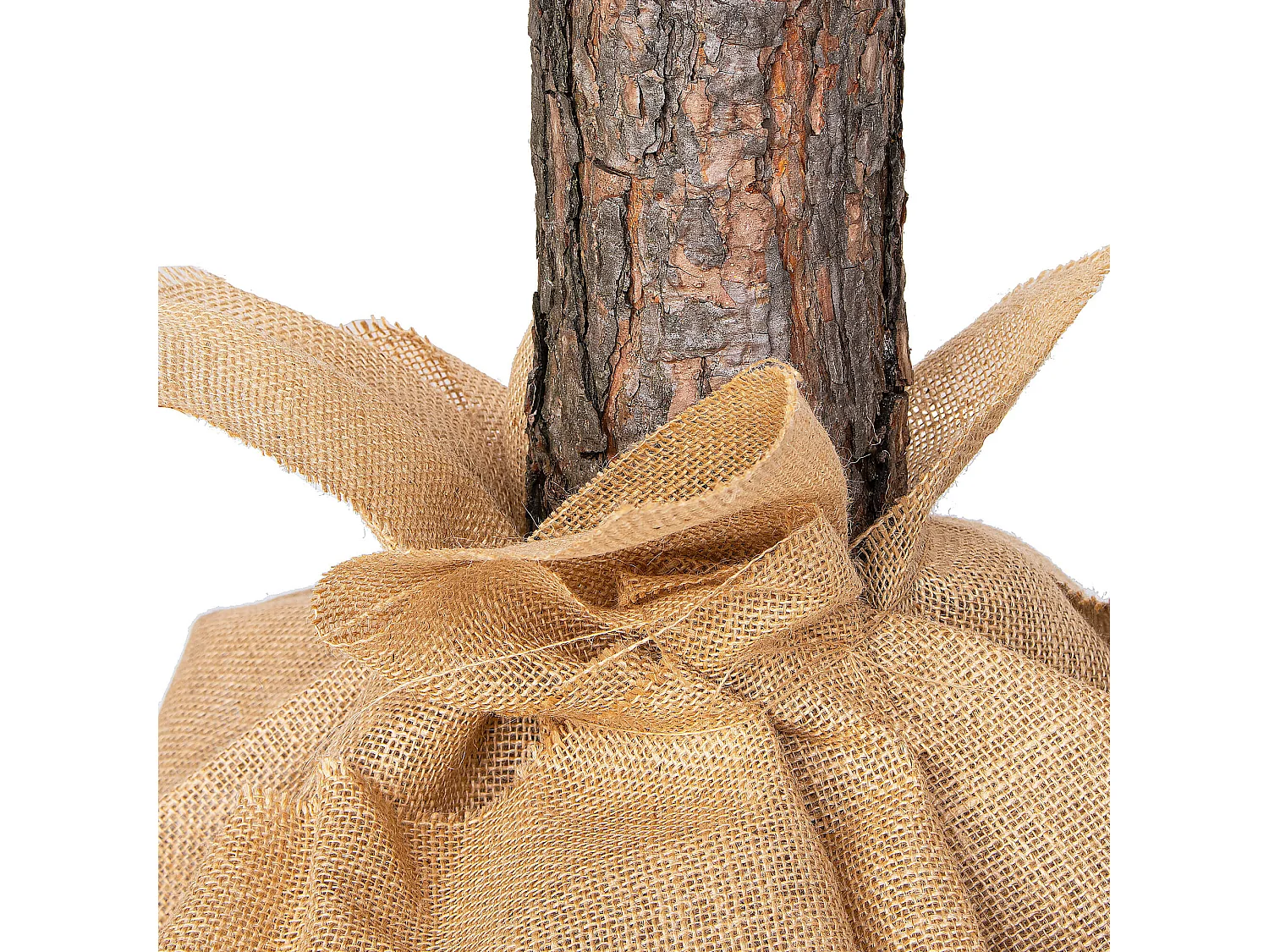 Árbol de Navidad artificial Springos® con tronco natural, pino Premium 180 cm