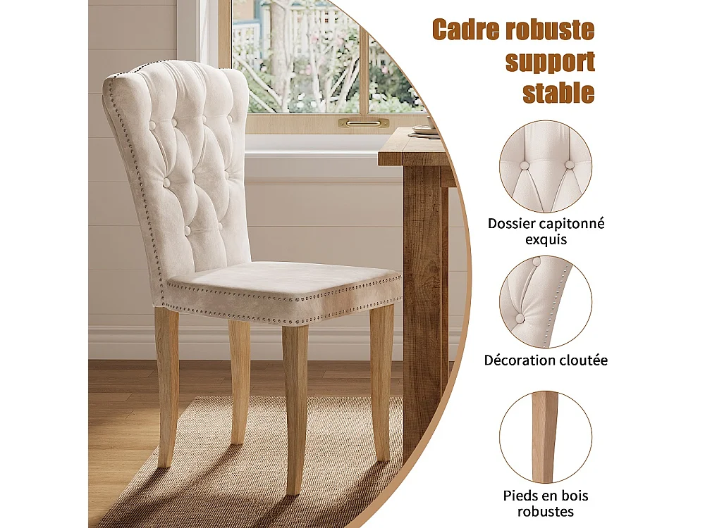Chaises à manger en velours tufted - 2 pièces rembourrées chaise de cuisine haut dos avec Nailhead Trim & jambes en bois massif - Beige