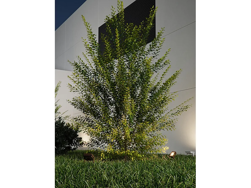 SKY 20W LED-buitenschijnwerper met CCT-schakeltechnologie 3000K/4000K/5000K, 115º stralingshoek, zilverkleurige aluminium behuizing - Beneito & Faure