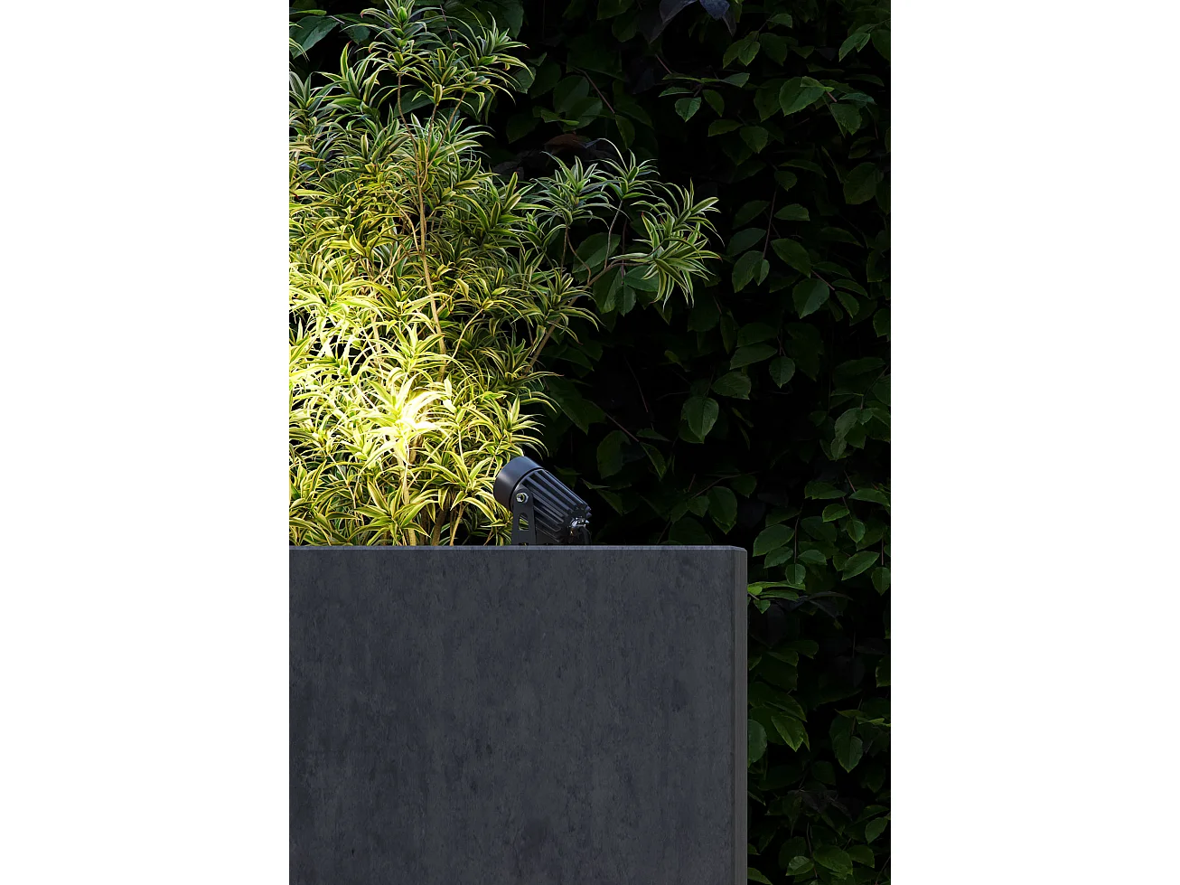 Zas SQ XL 7W 40-graden groente LED-schijnwerper in getextureerd Cortenstaal aluminium voor professionele buitenverlichting - Beneito & Faure