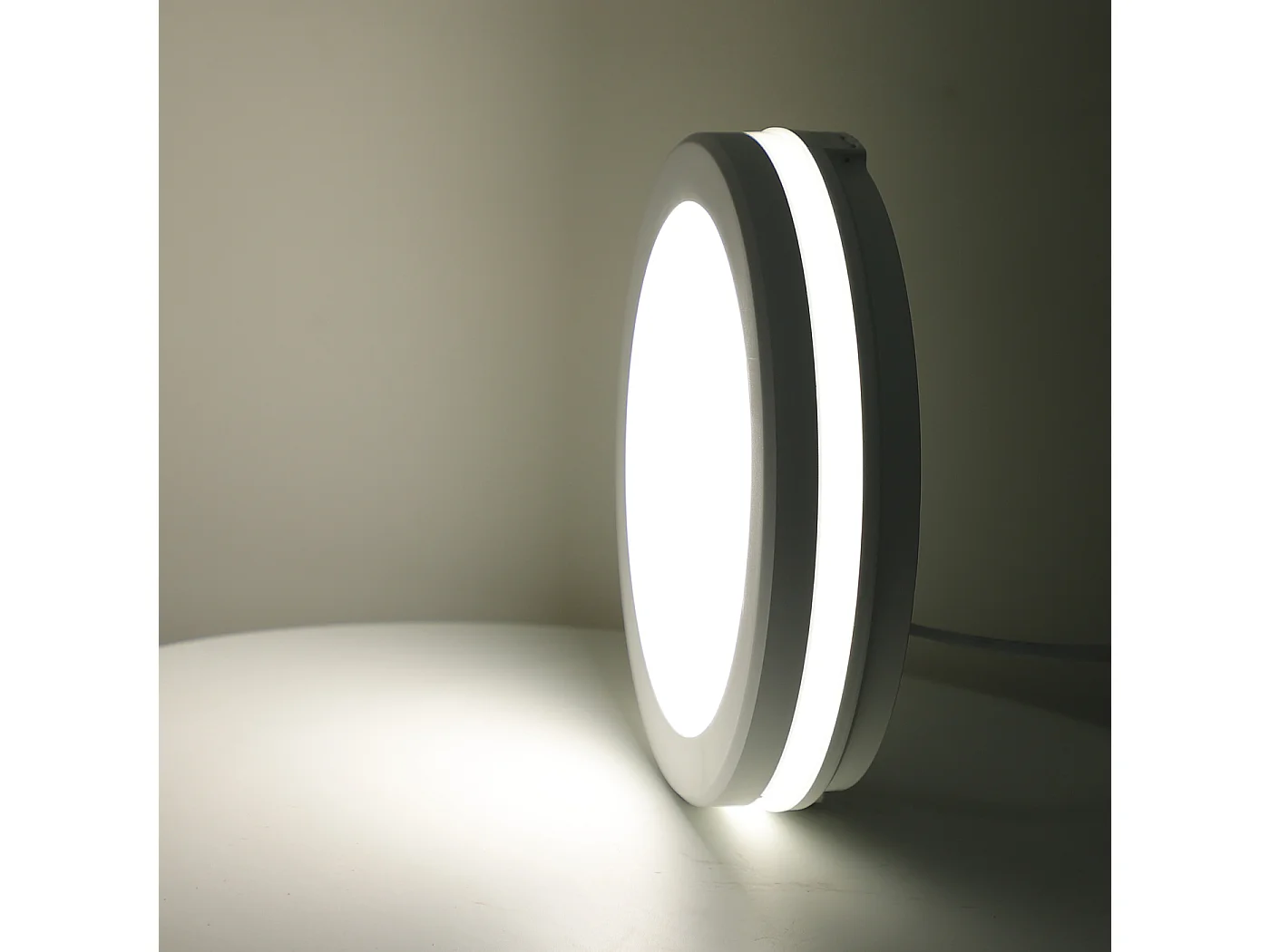 Plafonnier Led Rond 24 W Ip54 Ik08, Température De Couleur Réglable 3000 K - 4000 K - 6500 K, 2400 Lm, Gris, Lampe De Plafond Écoénergétique