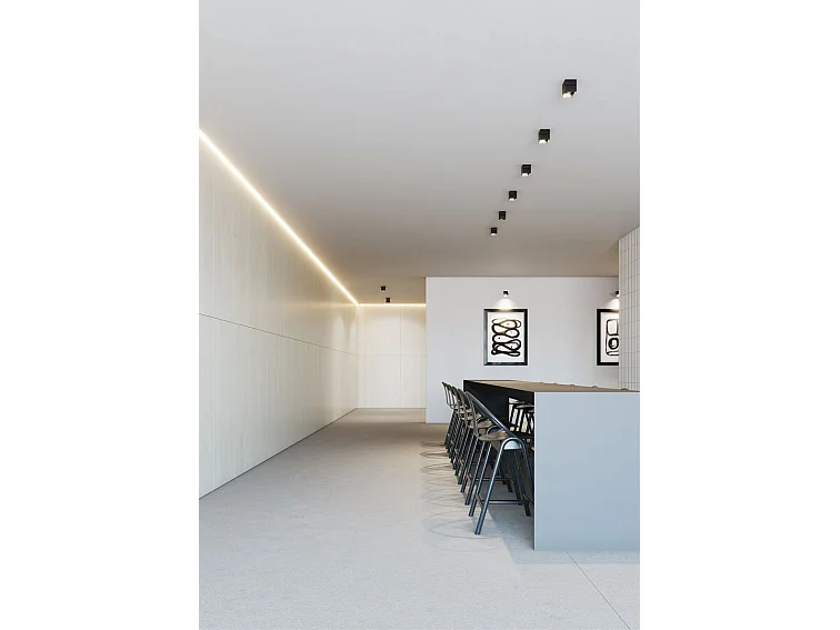 Rubyc Surface 14W Luminária de Parede LED Ajustável 40° Interruptor CCT 2700K/3200K/4000K Regulável TRIAC Preto Fosco - Beneito & Faure