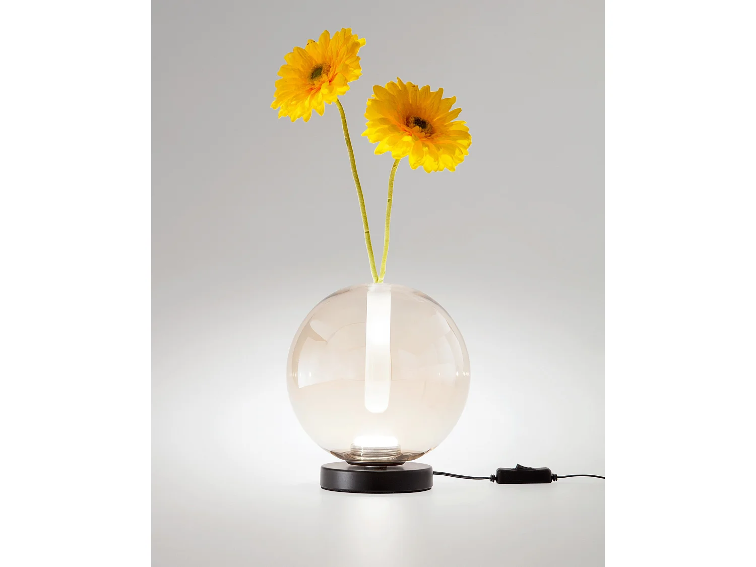 Wengen Cognac Tafellamp, Geïntegreerde 7W LED 540lm, Borosilicaatglas, Touch Dimbaar, Kleurtemperatuur 2700K-3000K-4000K, IP20 - Wengen