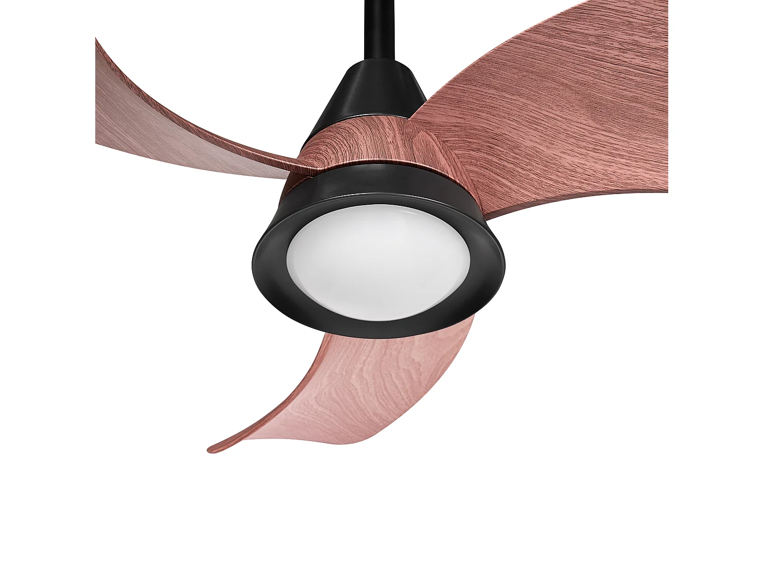 Ventilateur de plafond avec lampe HAINES Avec télécommande LED Noir