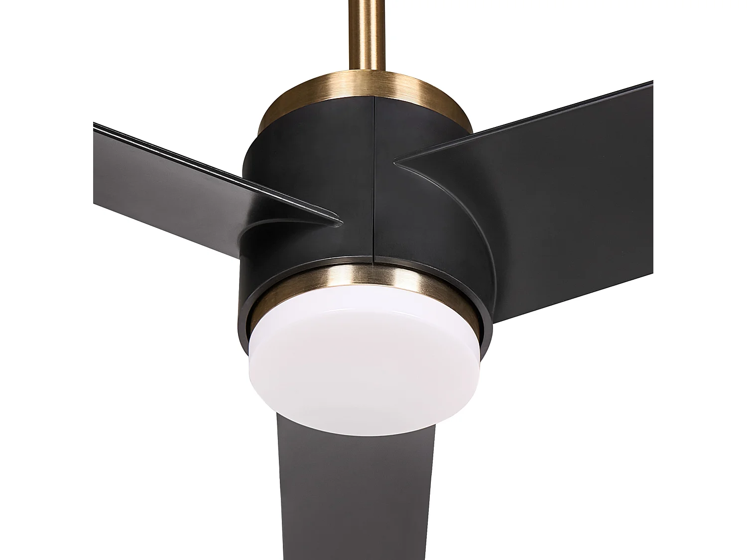 Ventilateur de plafond avec lampe TROUT Avec télécommande LED Noir