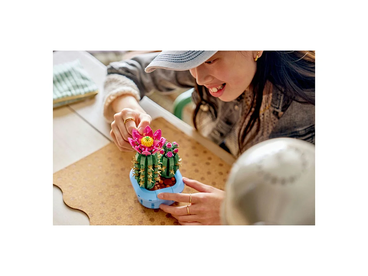 LEGO Botanicals 11509 Cactus fleuri – Set de construction décoratif (482 pièces)