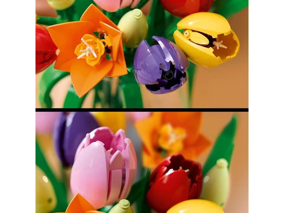 LEGO Botanicals 11501 Bouquet de Tulipes, set adulte de 576 pièces