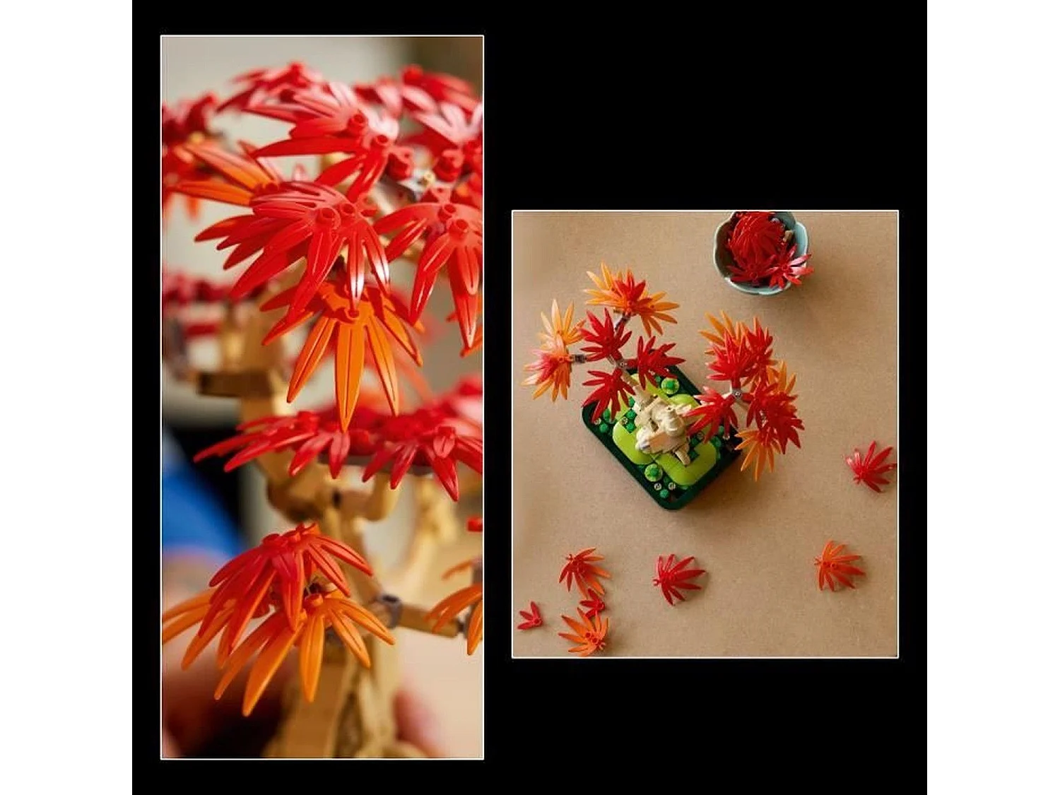 Lego Botanicals Bonsai d'Érable Rouge du Japon pour adulte