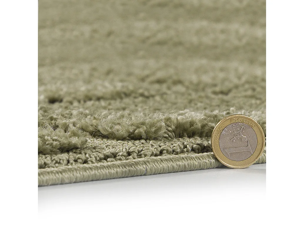 Tapis Pisa Ortica Mazovia 120 x 170 cm Vert Géométrique Poils Mi-Longs à Franges