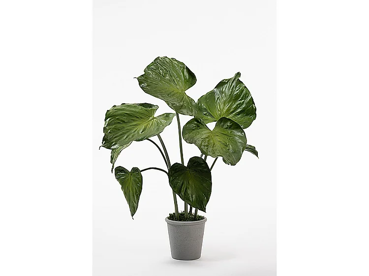 My Furniture Potted Artificial Elephants Ear Plant 80 cm, Realistic Green