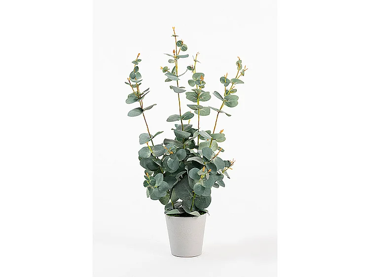My Furniture Medium Artificial Eucalyptus Plant - 50 cm, Green in Grey Plastic Pot