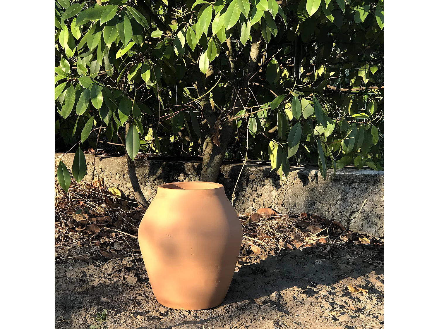 Vase amphore en terre cuite