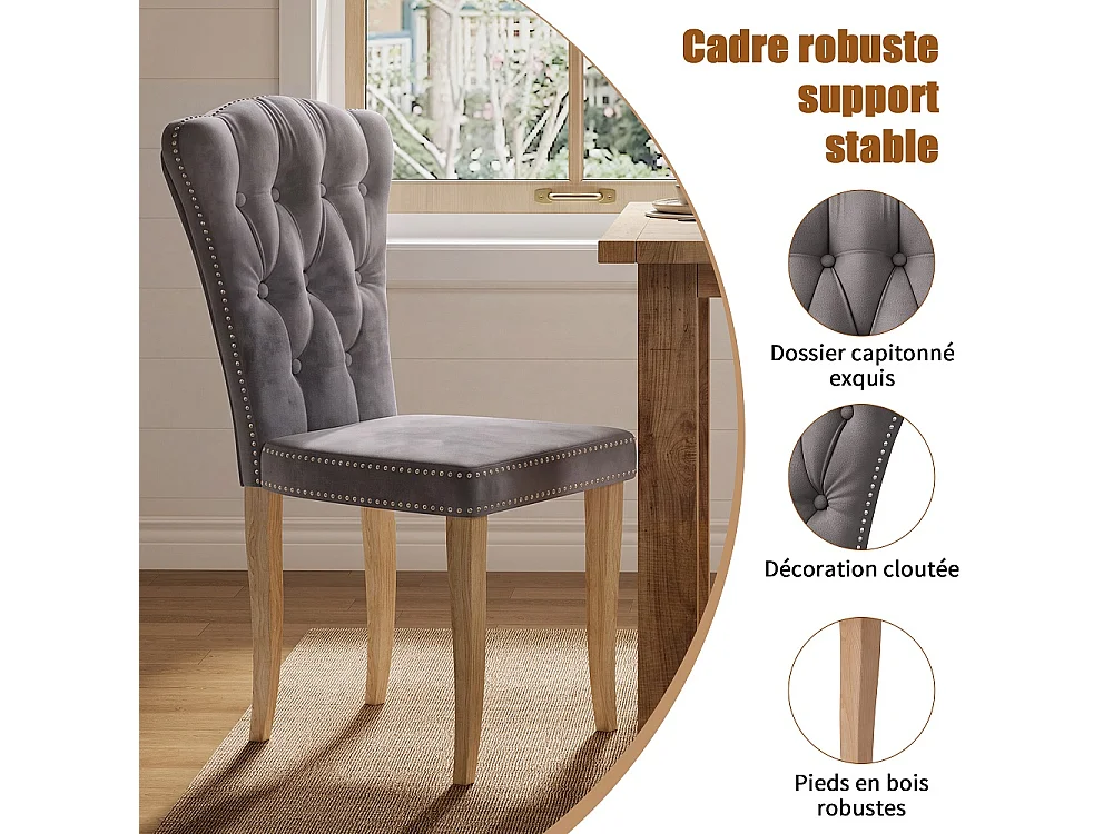 Chaises à manger en velours rembourrées - 2 pièces Tufted chaise latérale arrière haute avec Nailhead Trim & jambes en bois massif pour cuisine Salon - Gris