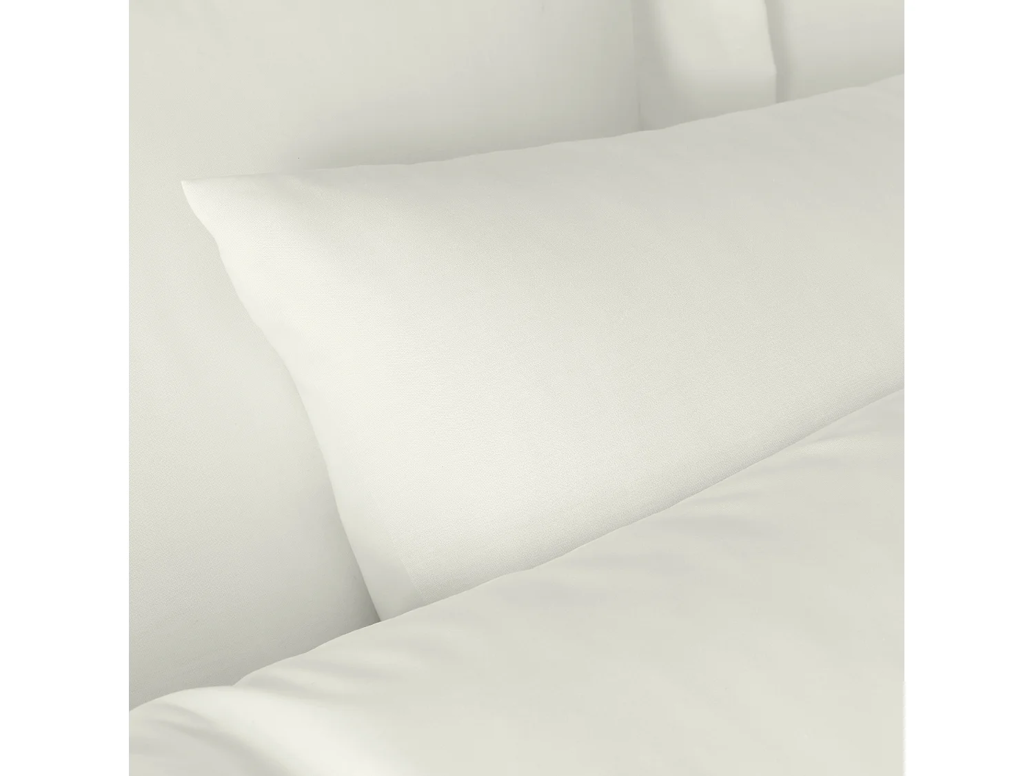 Bianca Fine Linens 180 Thread Count Egyptian Cotton Standard Pillow case Pair Cream