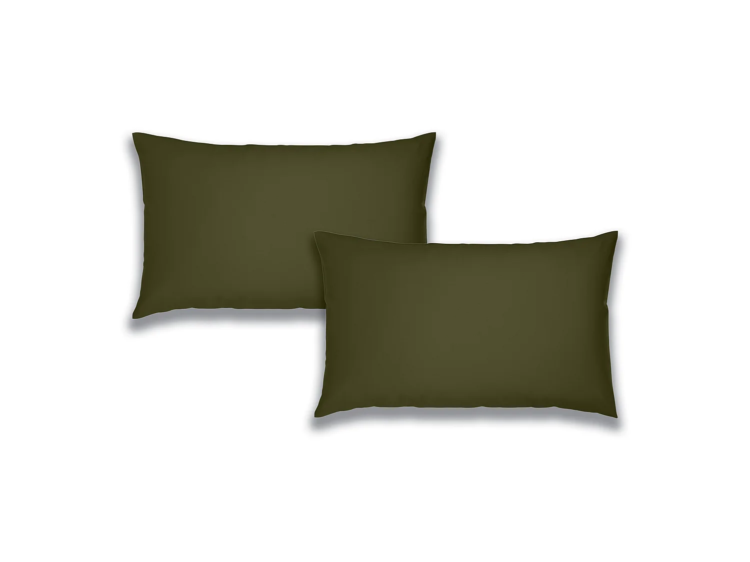 Catherine Lansfield Brushed Cotton Standard Pillow case Pair Green