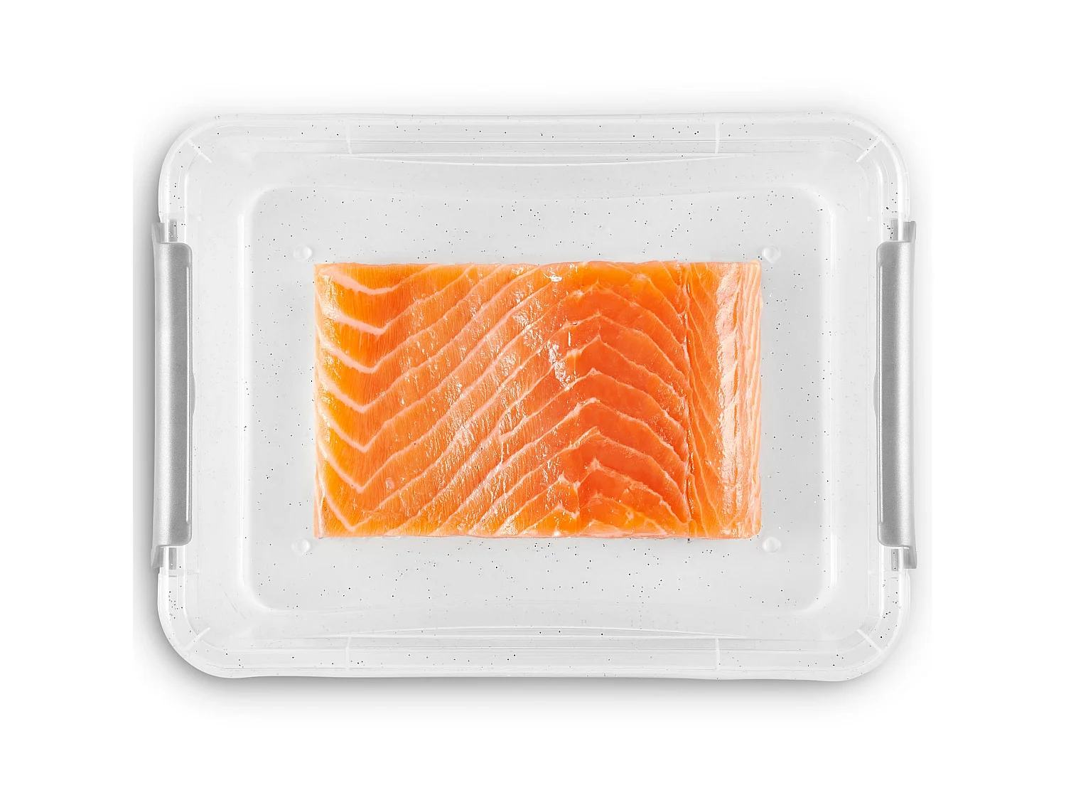 Boîte de rangement plastique antibactérienne polypropylène transparent argent 15x9,5x7,5 cm