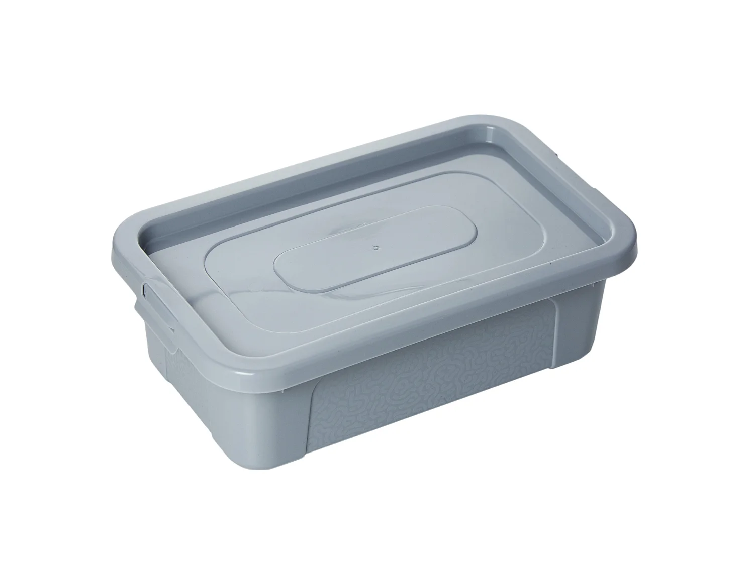 Boîte de rangement en plastique avec couvercle MultiBox, 4,5 L, grise, 33x20x10 cm