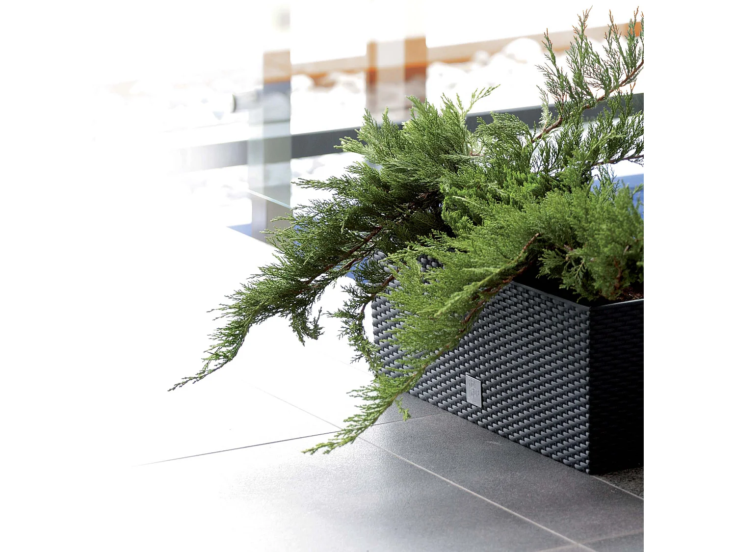 Jardinière décorative rectangulaire effet rotin plastique anthracite 17 L 51,4x19,2x18,6 cm