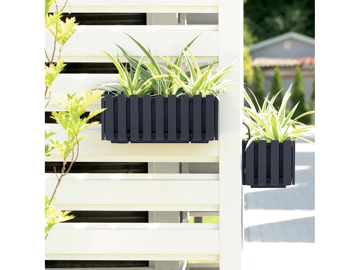 Jardinière suspendue avec système d’arrosage plastique anthracite 38x18x16,2 cm