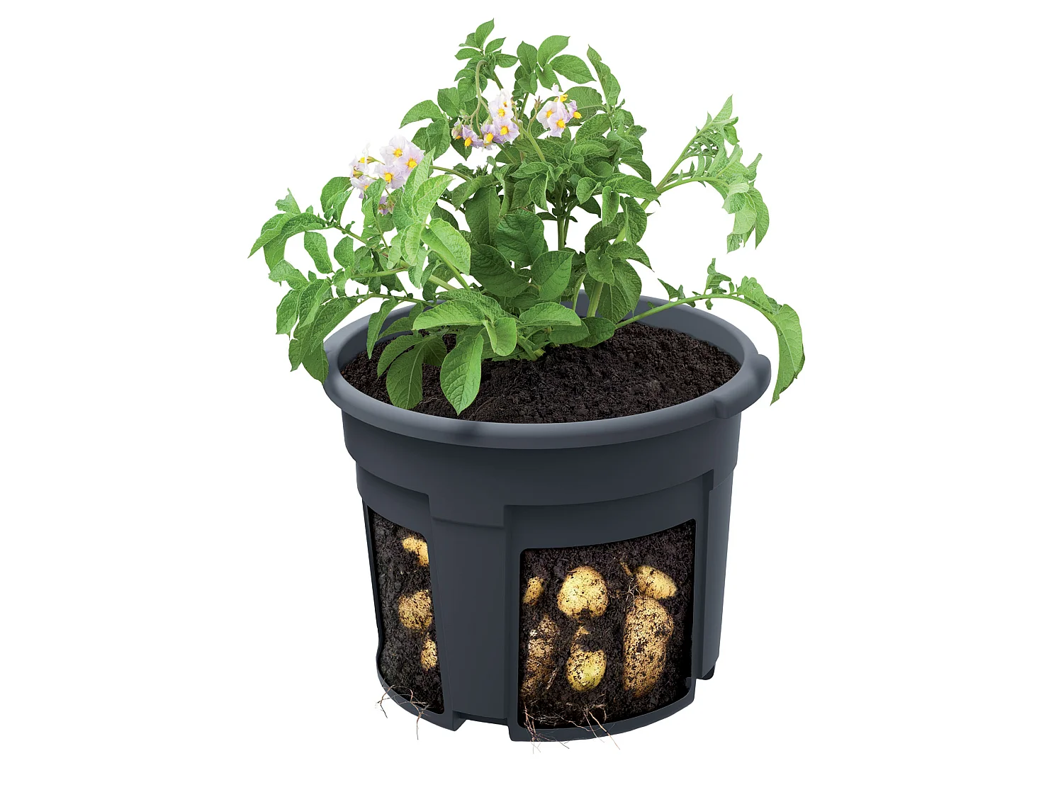 Pot de culture de pommes de terre avec insert amovible en plastique vert 29,5 cm