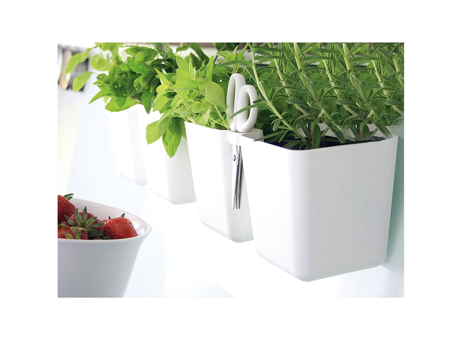 Pot de fleurs décoratif pour herbes aromatiques en plastique blanc 11x24,4x12 cm