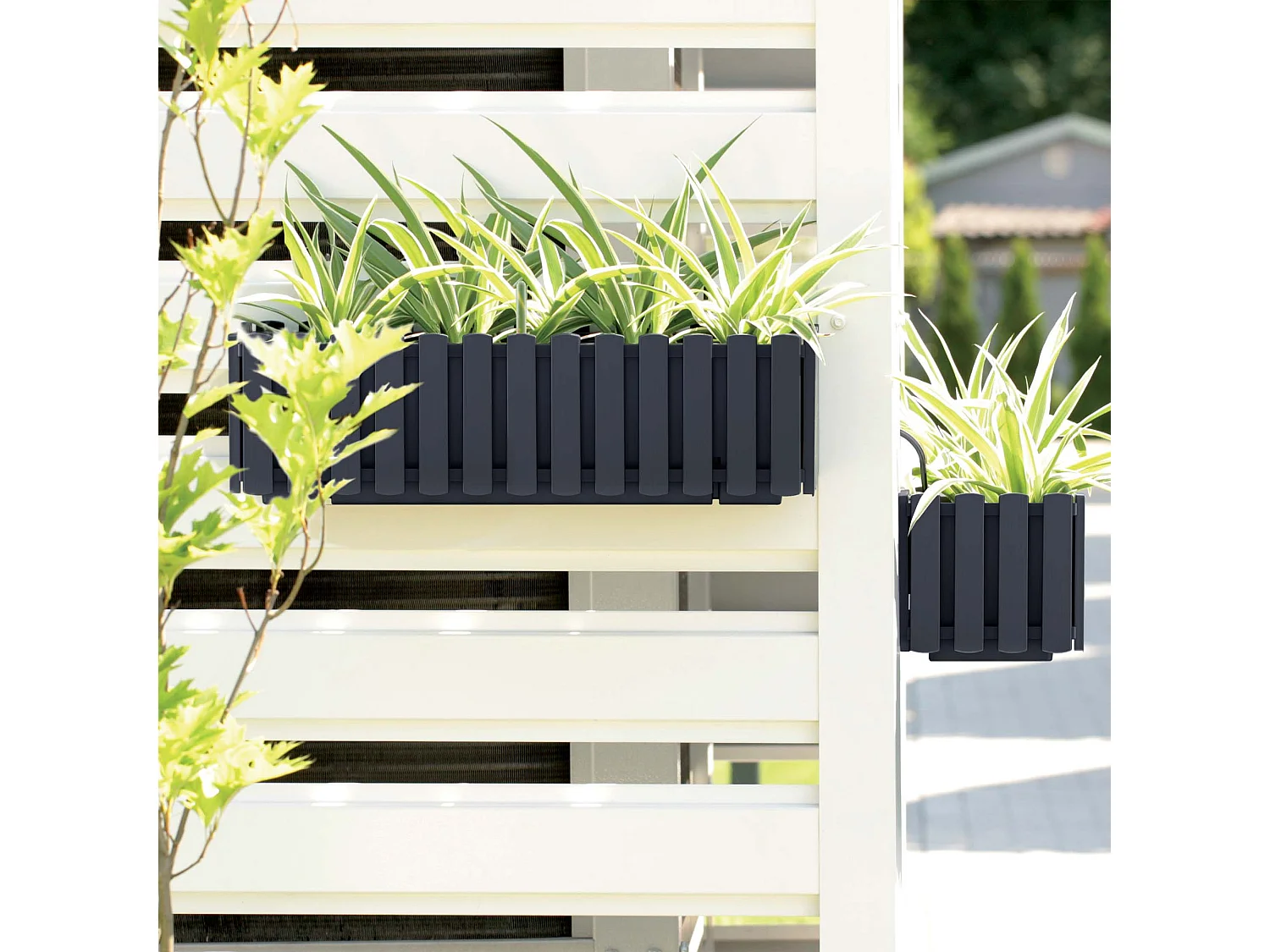 Jardinière suspendue avec système d’arrosage plastique anthracite 18x58x16,2 cm