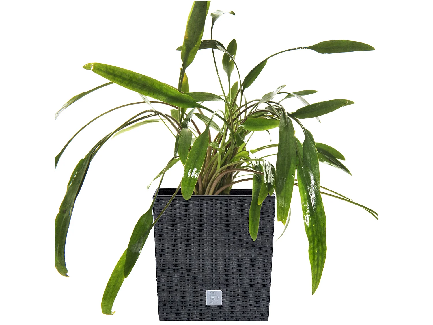Pot de fleurs décoratif carré effet rotin plastique anthracite 15,8 L 26,2x26,2x26,6 cm