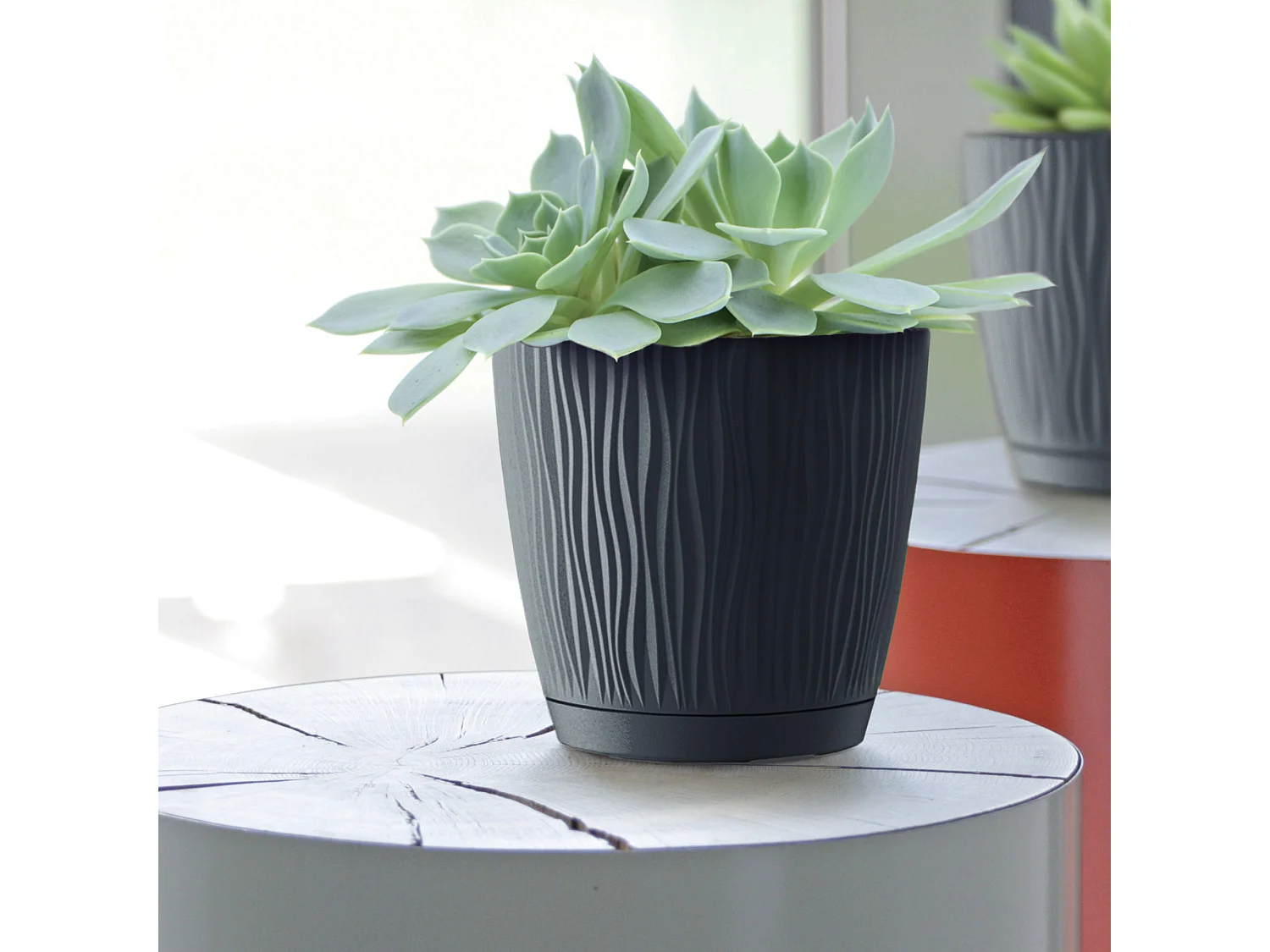 Pot de fleurs décoratif rond avec soucoupe en plastique anthracite 12,9 cm