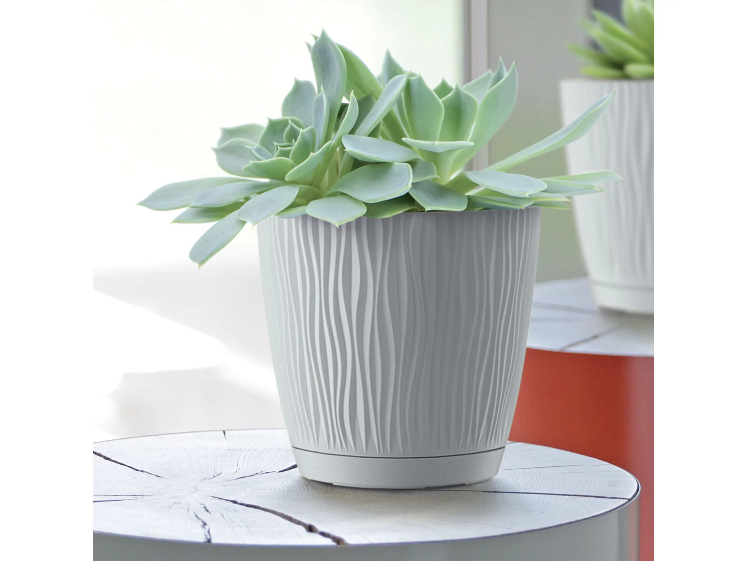 Pot de fleurs décoratif rond avec soucoupe Sandy P, plastique, blanc, 23,9 cm