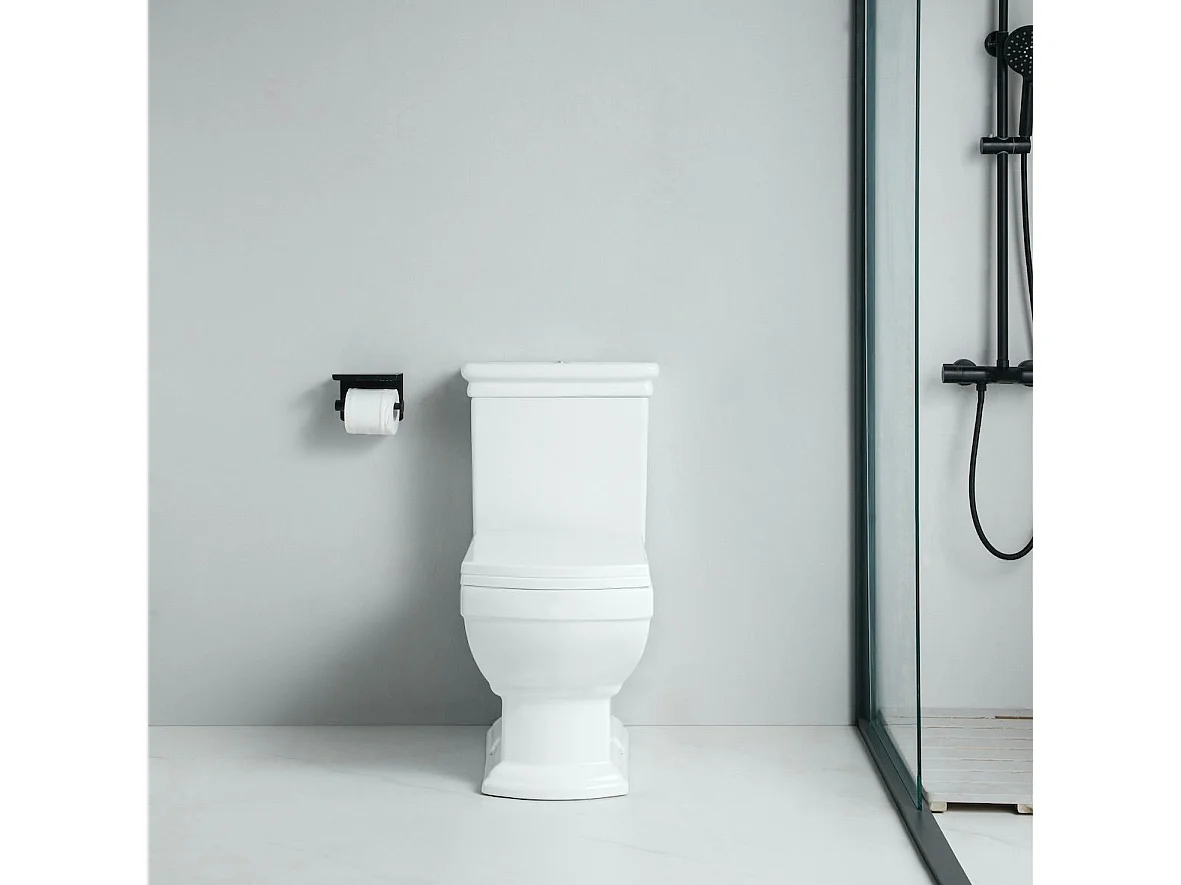 Inodoro de cerámica retro MADRY