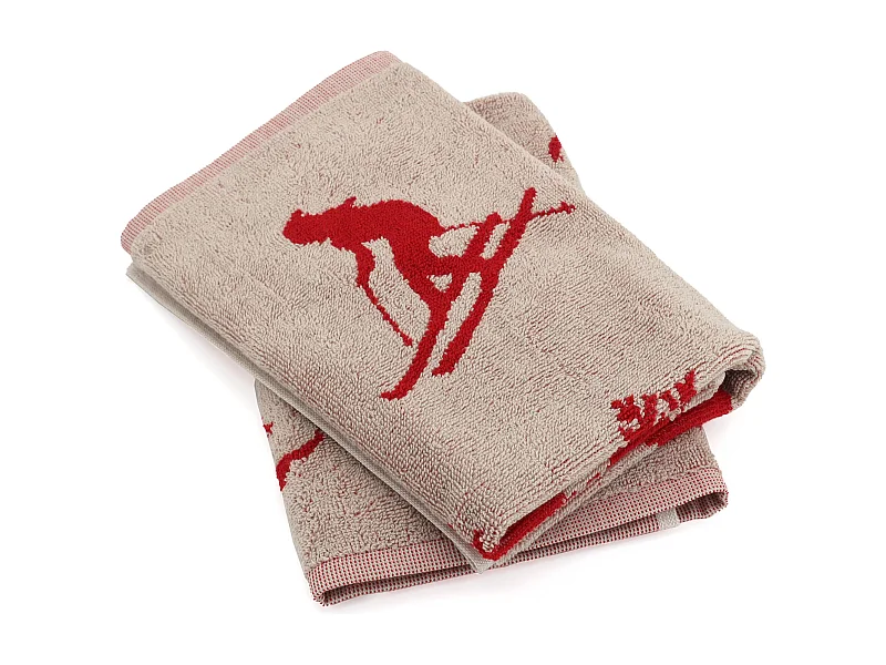 Lot de 2 torchons de cuisine éponge 50x50 cm coton SKI rouge