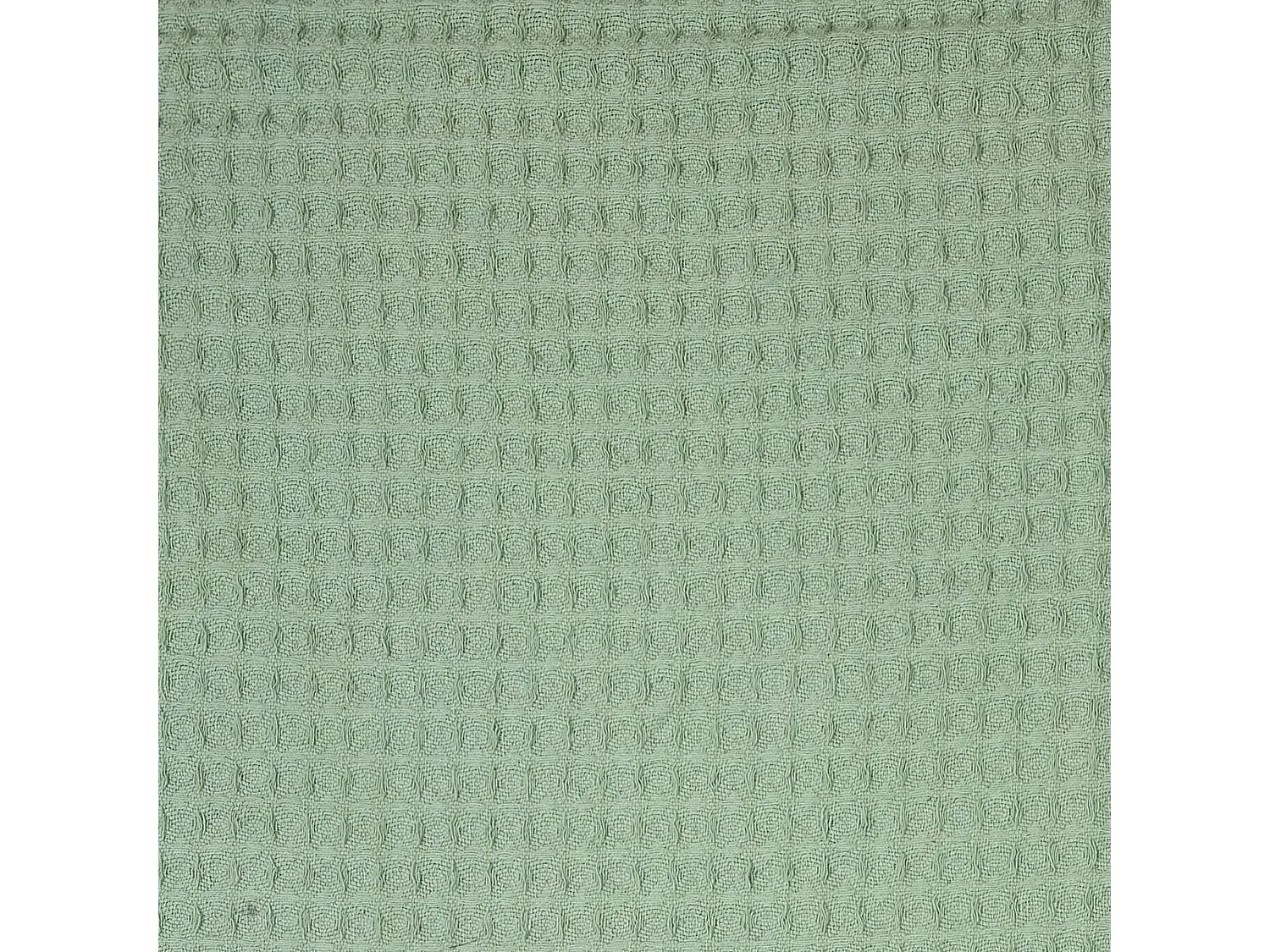 Jeté de canapé 170x250 cm SOFIA Vert Céladon