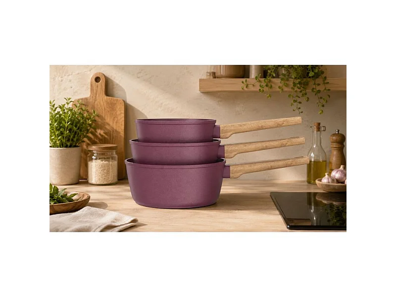 Set de 3 casseroles 16-18-20 cm Gamme Forest tous feux dont induction Prune Arthur Martin AM1963