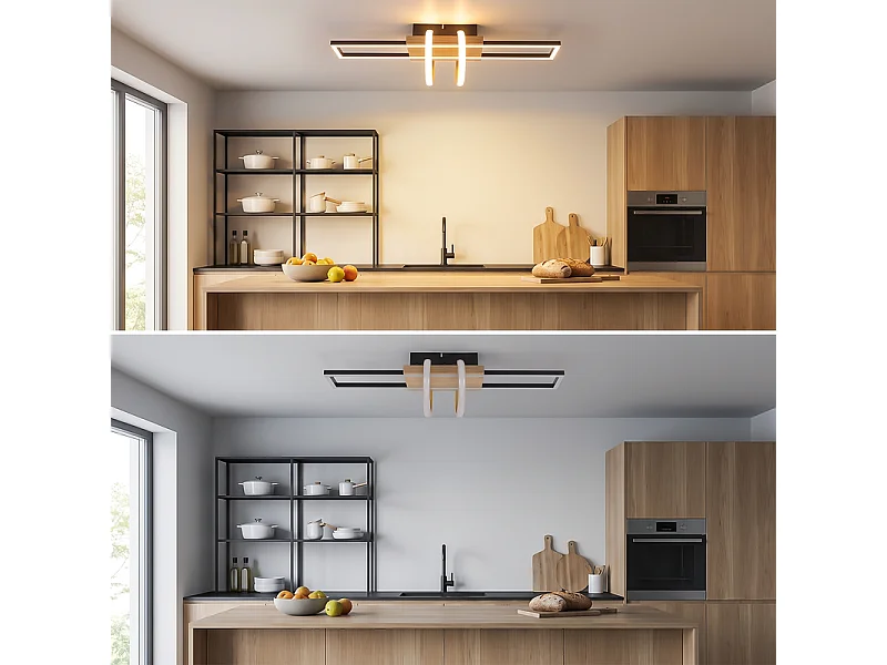NETTLIFE LED-plafondlamp Plafondlamp voor woonkamer 36 W Zwart Slaapkamerlamp