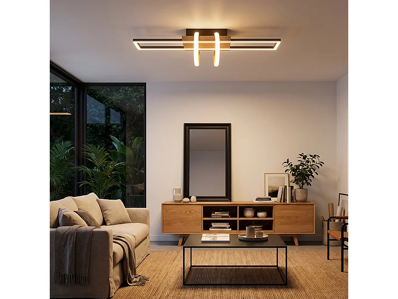 NETTLIFE LED-plafondlamp Plafondlamp voor woonkamer 36 W Zwart Slaapkamerlamp