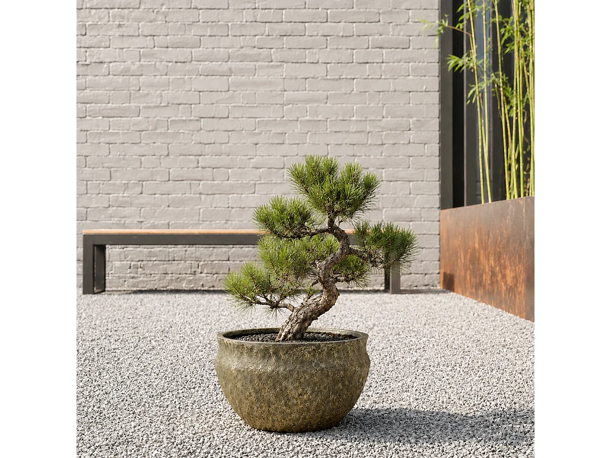 Tempo Style - Vaso Tondo Basso in Cemento Verde da Interno ed Esterno | Ciotola Effetto Pietra per Giardino e Terrazzo | Ø 31 x 20,5 cm