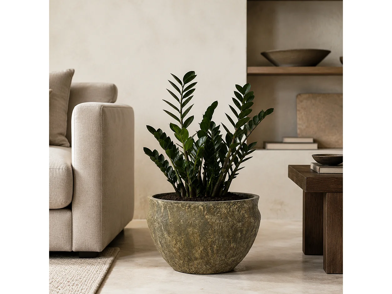 Tempo Style - Vaso Tondo Basso in Cemento Verde da Interno ed Esterno | Ciotola Grande Effetto Pietra per Giardino e Terrazzo | Ø 51,5 x 33 cm