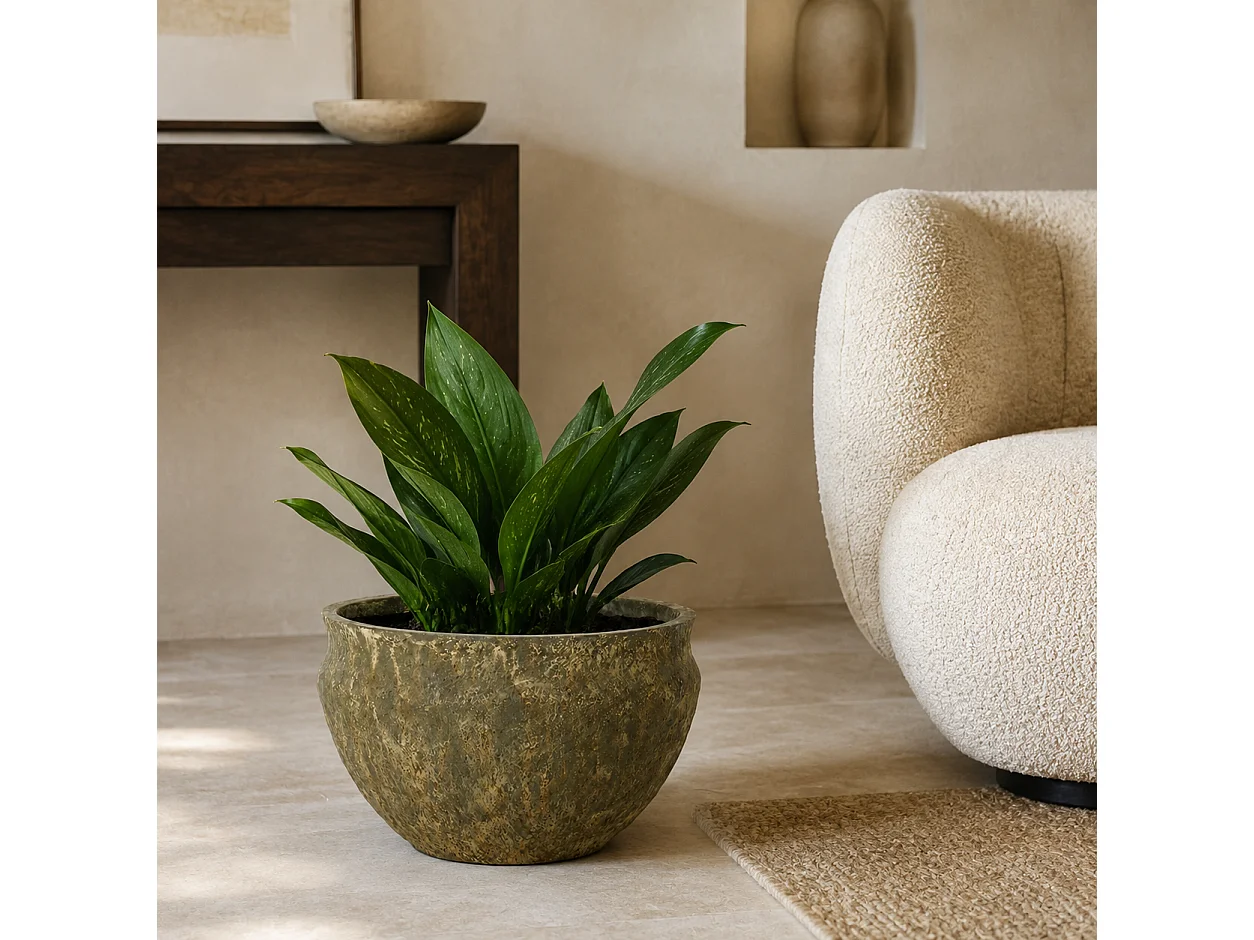 Tempo Style - Vaso Tondo Basso in Cemento Verde da Interno ed Esterno | Ciotola Effetto Pietra per Giardino e Terrazzo | Ø 41,5 x 27 cm