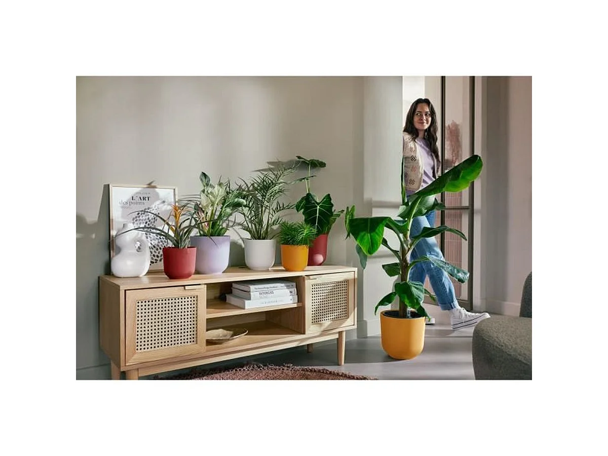 Elho Jazz Rond - Cache-pot d'intérieur blanc Ø26 x H24 cm