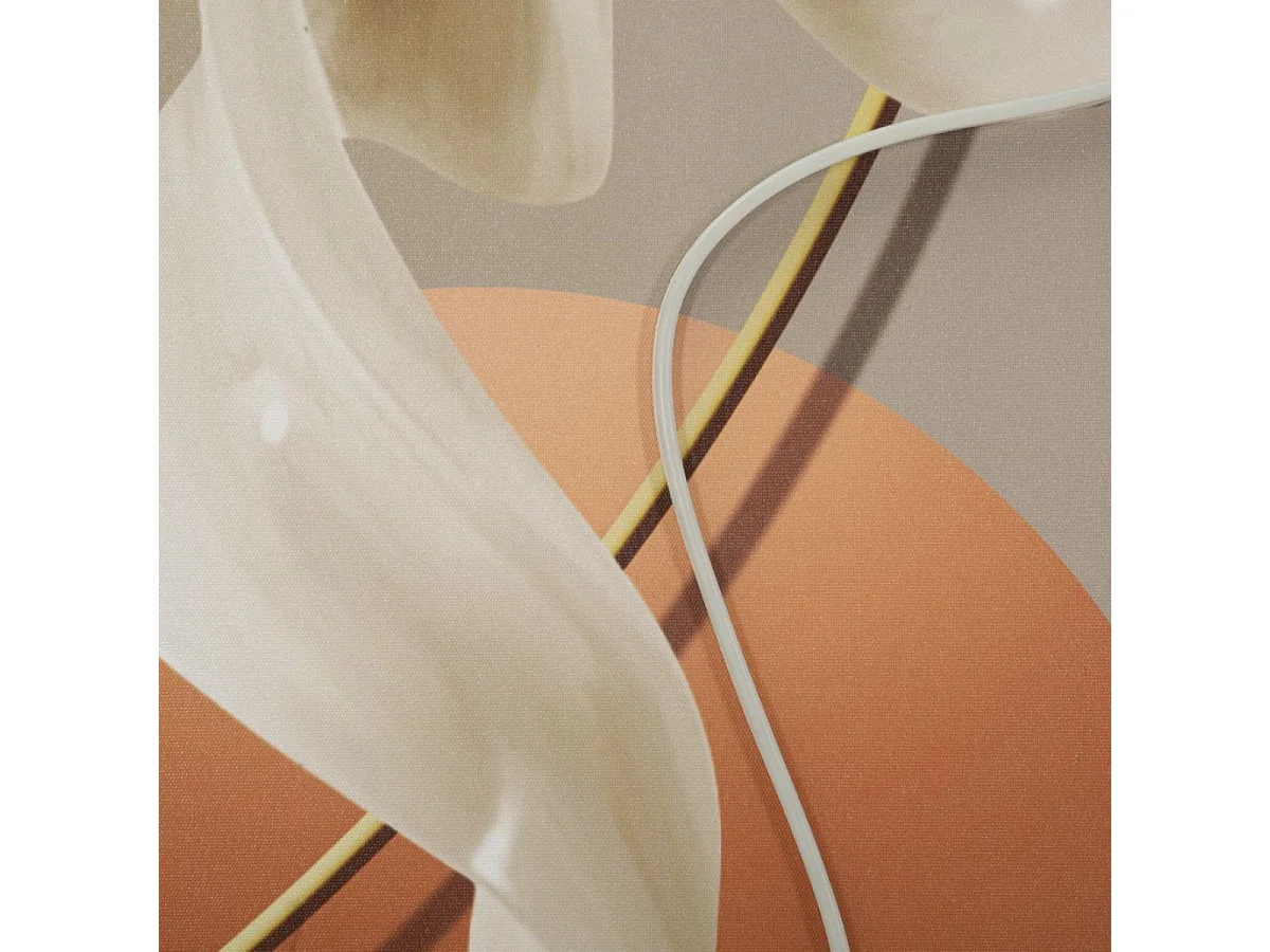 Tableau impression sur toile LED 80x120 cm Orphée
