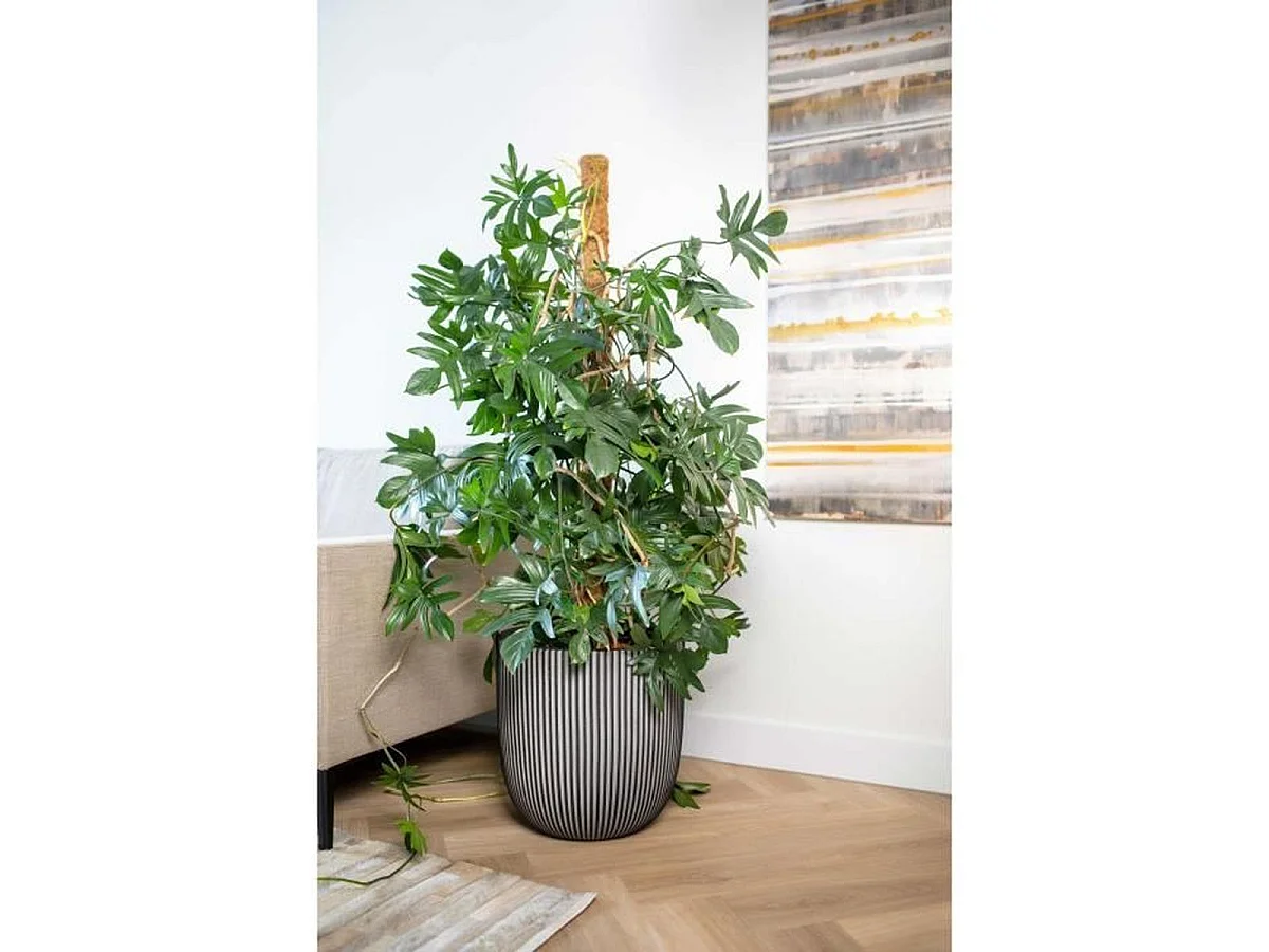 CAPI EUROPE GROOVE NL Pot boule sphérique 43 x 41 cm Anthracite