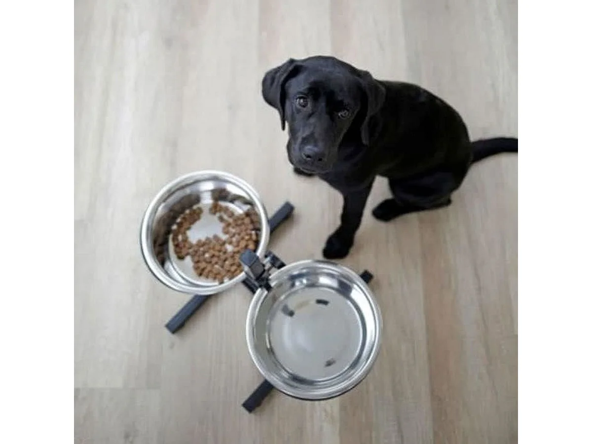 KERBL Bar d'alimentation surélevée pour chien avec 2 écuelles inox 2 x 2800 ml, 43 cm