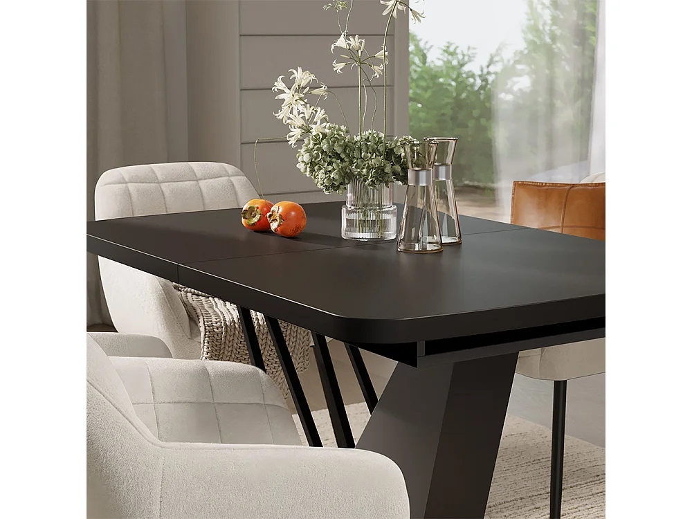 Dining table set black 120x80x77.4 fenaro