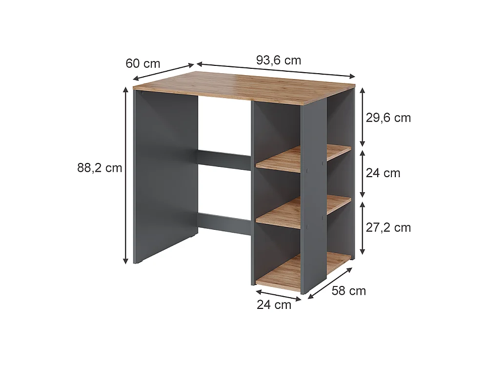 Armoire machine à laver anthracite/chêne de force doré 93.6x60x88.2 viktor