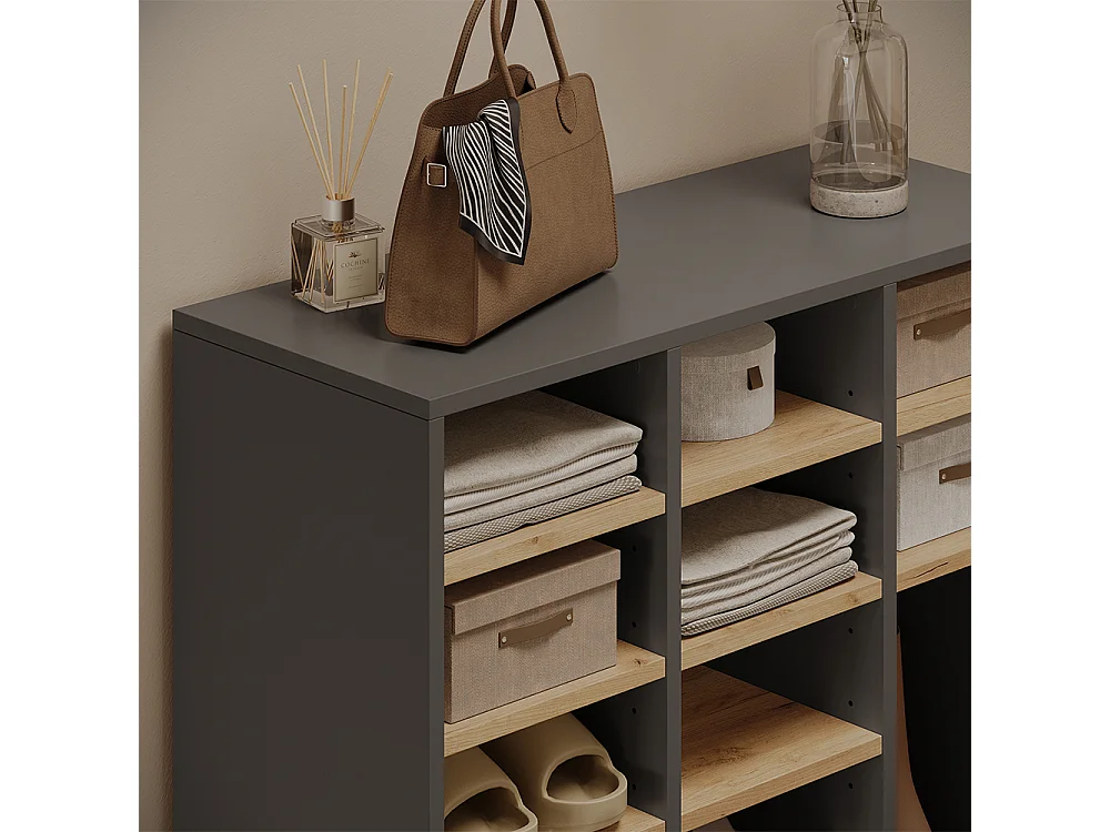Armoire à chaussures anthracite/chêne de force doré 78.6x32.1x99 hermia