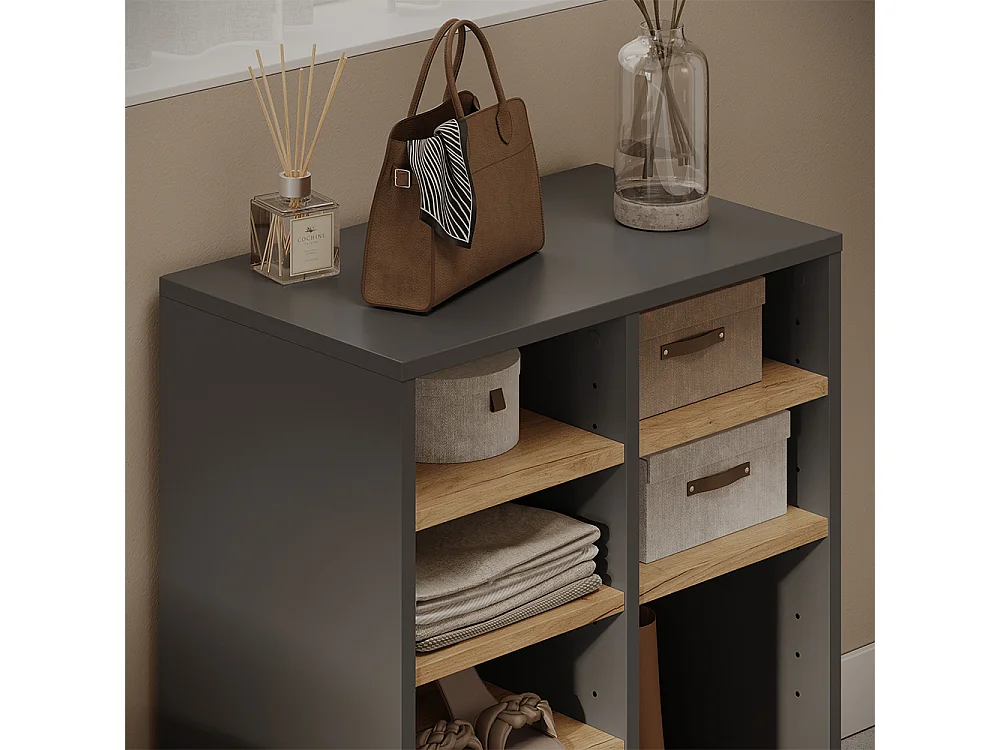 Armoire à chaussures anthracite/chêne de force doré 53x32.1x65.5 lysander