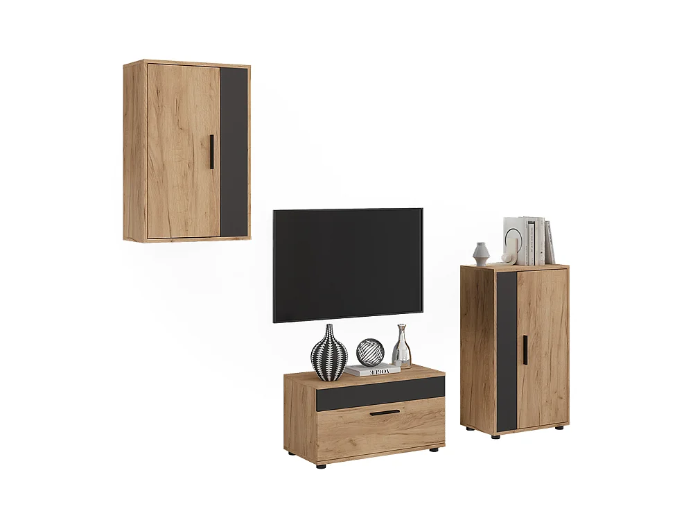 Väggskåp goldkraft ek/antracit 50.1x28.3x78.4 berno