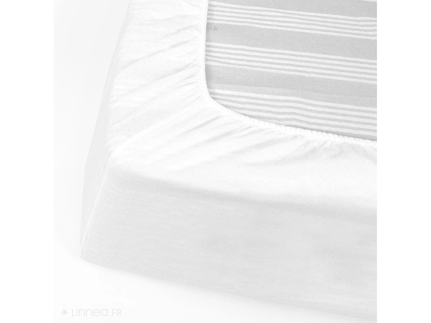 Protège matelas ANTONIN 210x220 cm bonnet 40 cm molleton 220 g/m² absorbant blanc